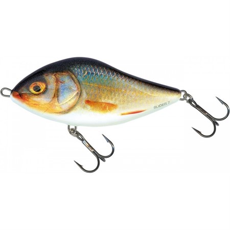 Salmo Slider 12cm, 60g Floating, SD12F, RR